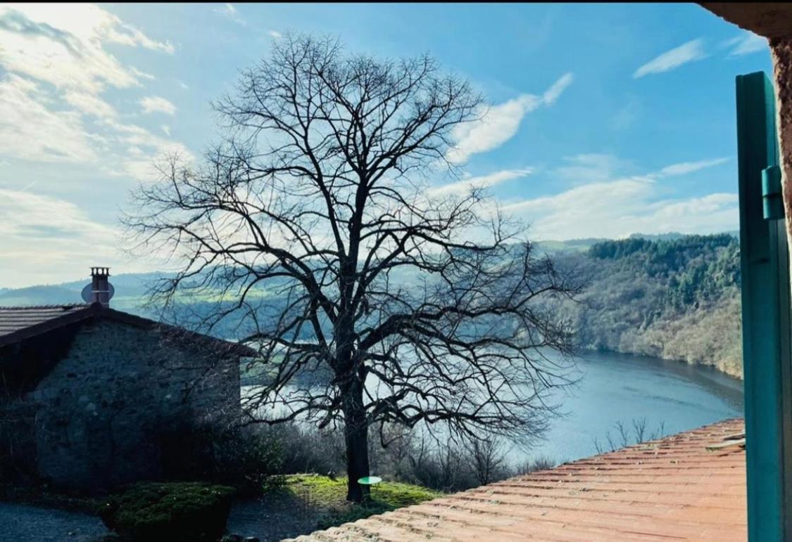 O Fil De L'Eau - Gite En Bord De Lac Saint-Jean-Saint-Maurice-sur-Loire Exterior foto
